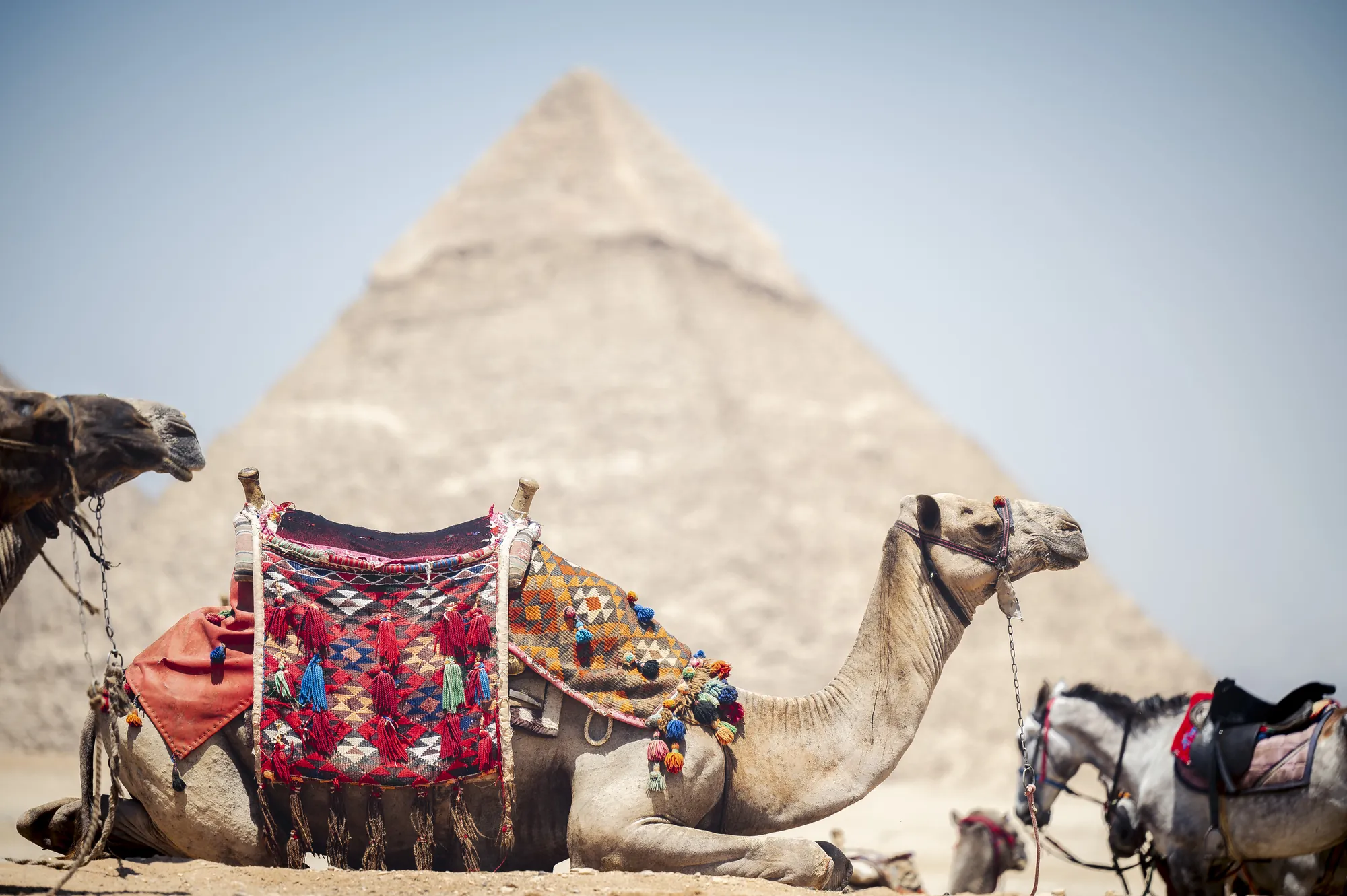 The Best Time to Visit Egypt: A.